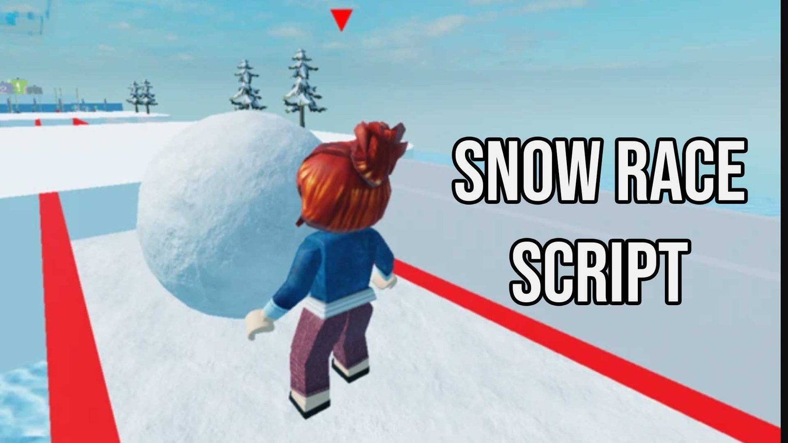 Snow Race Script